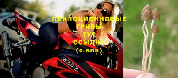 шишки Абинск