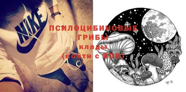 шишки Абинск