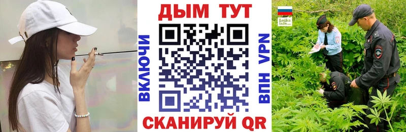 Каннабис индика  Энем 